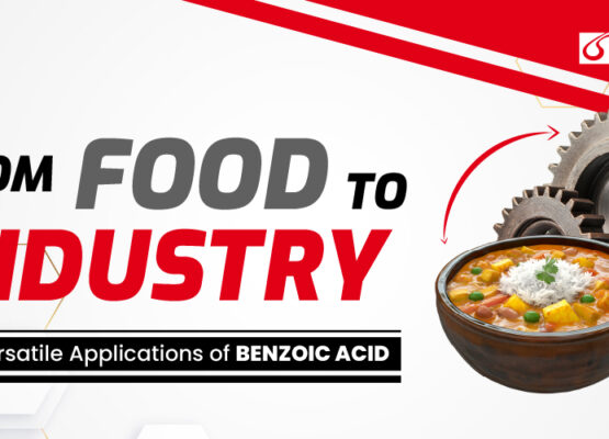 From Food to Industry: The Versatile Applications of Benzoic Acid