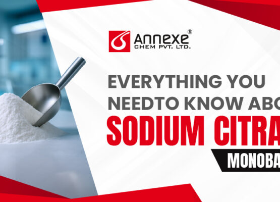 Everything You Need to Know About Sodium Citrate Mono Basic