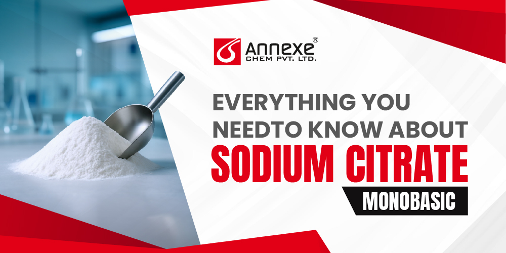 Everything You Need to Know About Sodium Citrate Mono Basic