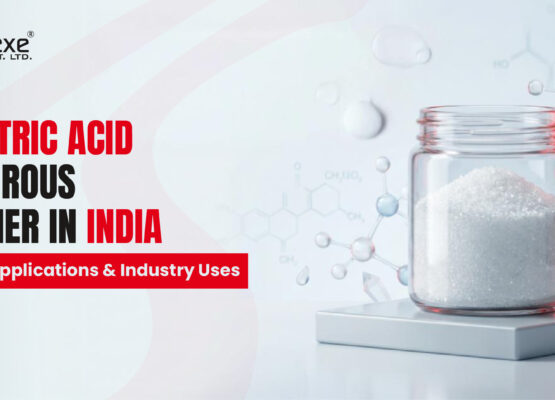 Top Citric Acid Anhydrous Supplier in India Quality Applications and Industry Uses